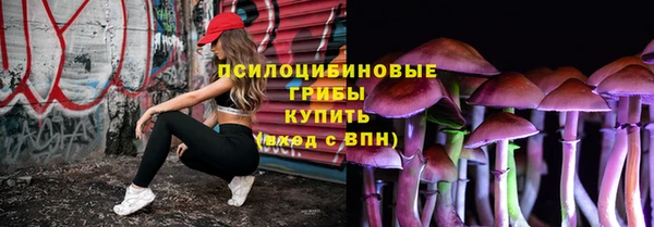меф Горно-Алтайск