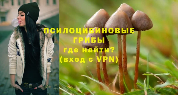 круглые Вяземский