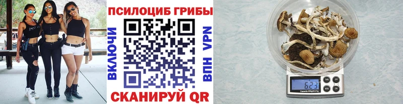 Купить  Рыбное  Псилоцибиновые грибы прущие грибы 